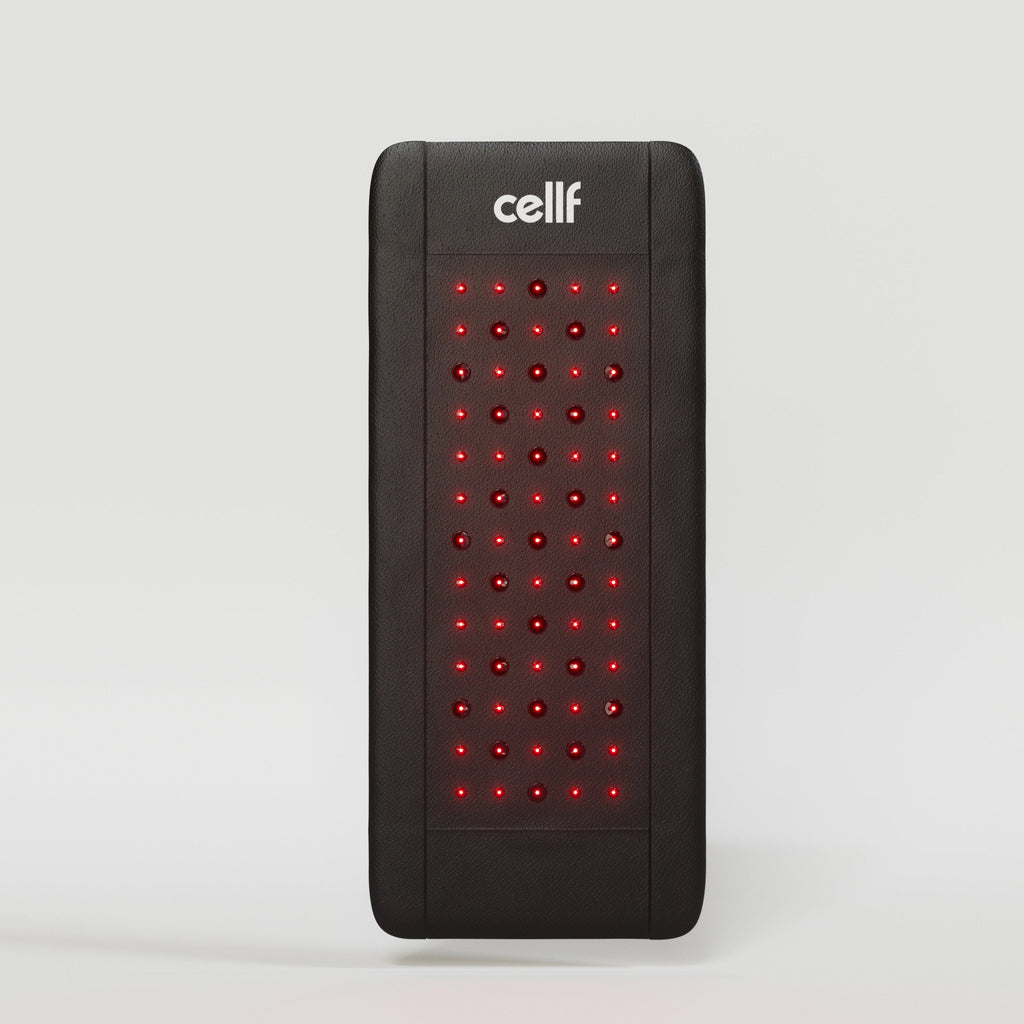 Multi Therapy Mat